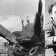 Image for article titled Here Are Some of the Weirdest-Looking Creatures From Doctor Who